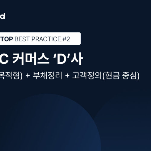 [피트스탑 고객 리포트] #2 D2C 커머스 D사